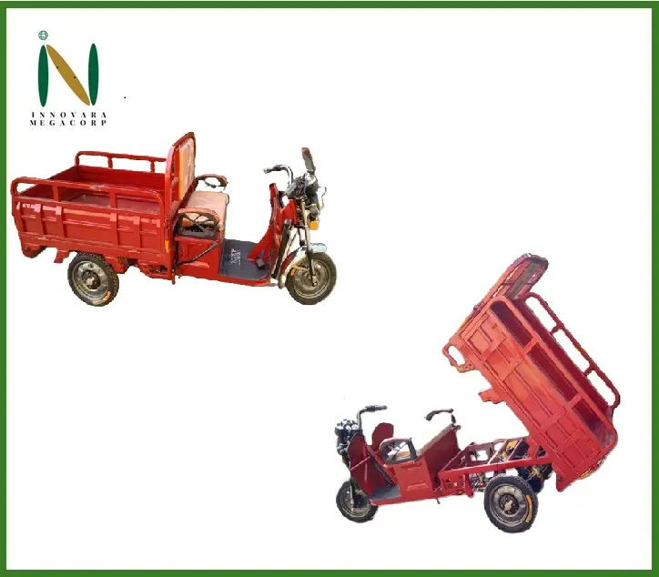 Product - E-rickshaw loader